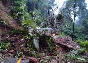 Longsor Terjang Jalan Lintas Pasaman-Bukittinggi