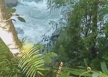 Video: Mobil Pengangkut Duku Masuk Jurang di Pesisir Selatan