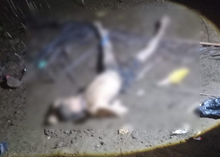 Sesosok mayat ditemukan di Korong Pasa Baru, Nagari Sunua Barat, Kecamatan Nan Sabaris, Padang Pariaman, pada Jumat (8/5/2026) malam. Mayat laki-laki tersebut tanpa baju dan hanya bercelana pendek.