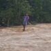 Video: Detik-Detik Pria Bertaruh Nyawa Pasang Tali Lori di Sungai Pesisir Selatan