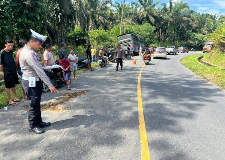 Polisi olah TKP kecelakaan maut di jalan lintas Jorong Simpang Tiga Alin, Nagari Muara Kiawai, Kecamatan Gunung Tuleh, Kabupaten Pasaman Barat, Sumatera Barat, pada Sabtu (9/5/2026) siang.
