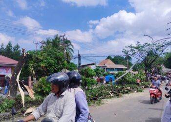 Ngeri, Tabrakan Beruntun di Padang Nyaris Robohkan Pohon dan Tiang Listrik