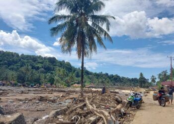 Dinas Kehutanan Sumbar Bantah Banjir Bandang Akibat Pembukaan Lahan, Siap Hadapi Gugatan