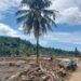 Dinas Kehutanan Sumbar Bantah Banjir Bandang Akibat Pembukaan Lahan, Siap Hadapi Gugatan