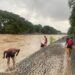 Debit Air Sungai Banda Bakali Padang Meningkat, Warga Ramai Menjala Ikan