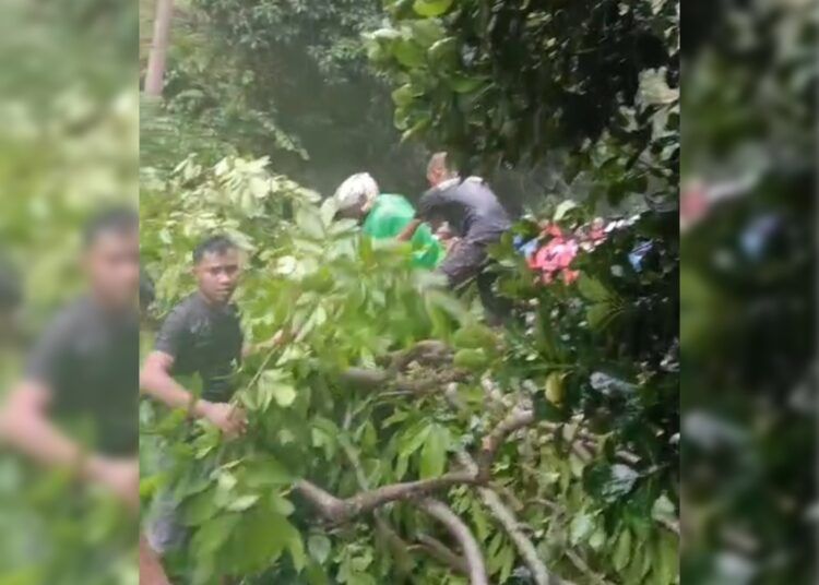 Pohon tumbang menutup akses jalan utama Padang–Pesisir Selatan, tepatnya di kawasan Sungai Barameh, Kelurahan Gates, kawasan Gaung, Kecamatan Lubuk Begalung, Kota Padang, pada Jumat (15/5) sore.