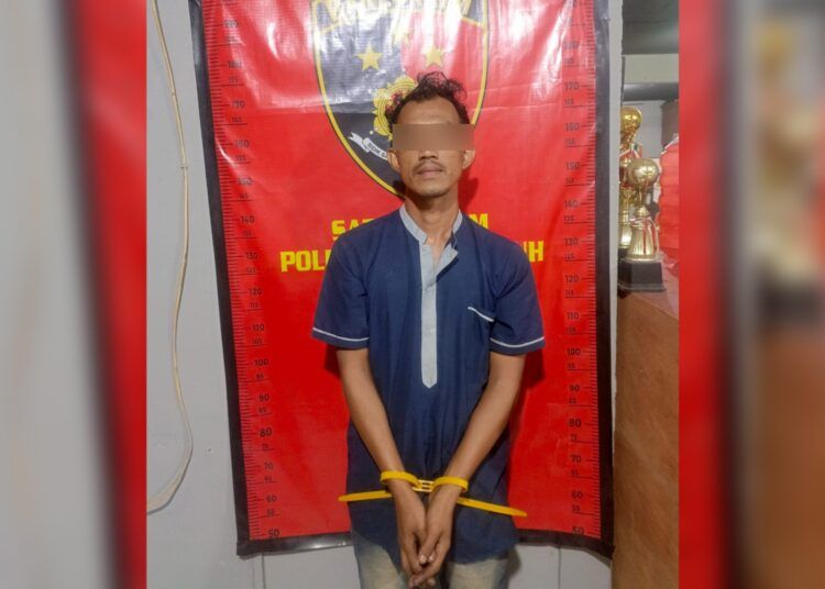 Polisi menangkap seorang sopir truk batu baru di sebuah rumah makan di Lubuk Bangku, Nagari Sarilamak, Kecamatan Harau, Lima Puluh Kota, Sumbar, pada Sabtu (16/5/2026) dini hari atas dugaan menggelapkan uang operasional perusahaan. Foto: Polres Payakumbuh