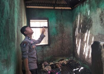 Rumah Warga di Pesisir Selatan Ludes Terbakar, Diduga Akibat Korsleting Listrik