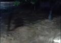 Video: Banjir Rendam Kuranji Padang, Warga Panik