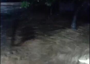 Video: Banjir Rendam Kuranji Padang, Warga Panik