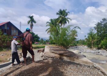 Baru Sepekan Ditanami Padi, Sawah Warga di Padang Kembali Rusak Diterjang Banjir