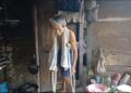 Ditinggal Anak Merantau, Lansia di Padang Pariaman Hidup Sendiri di Rumah Tidak Layak Huni