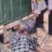 Dua Pembeli Karet dari Pasaman Tewas di Kolam Ikan di Pasaman Barat