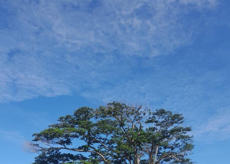 Kota Padang diperkirakan akan cerah hari ini, Selasa (26/5/2026). Suhu berkisar antara 18–30 derajat Celsius, dengan tingkat kelembapan di atas 59 persen.