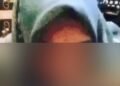 Berbuat Mesum, Dua Guru PPPK di Pesisir Selatan Dipecat, Videonya Tersebar