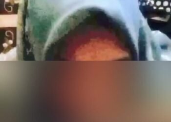 Berbuat Mesum, Dua Guru PPPK di Pesisir Selatan Dipecat, Videonya Tersebar