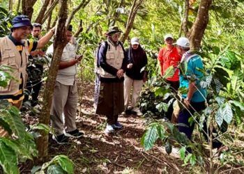 Tim Peneliti Politani Payakumbuh Pelajari Pertanian Regeneratif di Ladang Langit Coffee Farm