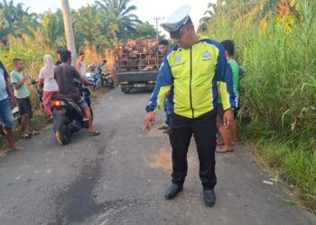 Kecelakaan Maut di Pasaman Barat, Pemotor 26 Tahun Tewas Ditabrak Truk