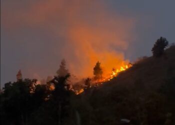 2 Hektare Lahan Produktif di Puncak Gagoan Kabupaten Solok Hangus Terbakar