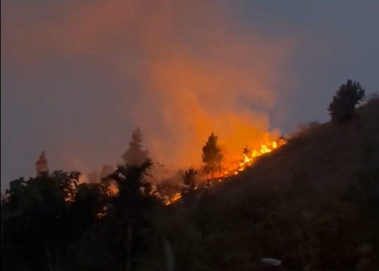 Kebakaran hebat melanda kawasan Puncak Gagoan, Jorong Koto Baru, Nagari Paninggahan, Kecamatan Junjung Sirih, Kabupaten Solok, Sumatera Barat, pada Senin malam (1/6/2026).