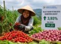 NTP Sumbar Naik 3,93 Persen pada Mei 2026, Daya Beli Petani Menguat