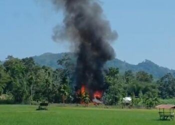 Terjebak Kebakaran di Kandang, Dua Ekor Sapi di Pesisir Selatan Hangus Terbakar