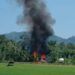 Terjebak Kebakaran di Kandang, Dua Ekor Sapi di Pesisir Selatan Hangus Terbakar