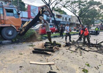 Diduga Sopir Mengantuk, Truk Tabrak Pohon di Jalan Lintas Padang-Solok