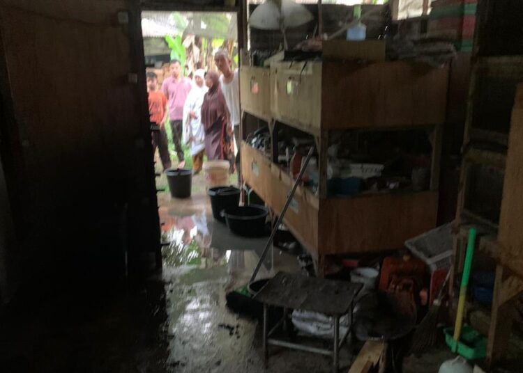 Kandang puyuh di Jorong Koto Tuo Mungka, Nagari Mungka, Kecamatan Mungka, Kabupaten Lima Puluh Kota, Sumatera Barat, terbakar pada Minggu (14/6/2026) pagi.
