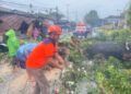 Akibat Angin Kencang, Pohon Timpa Warung dan Hambat Akses Jalan di Padang