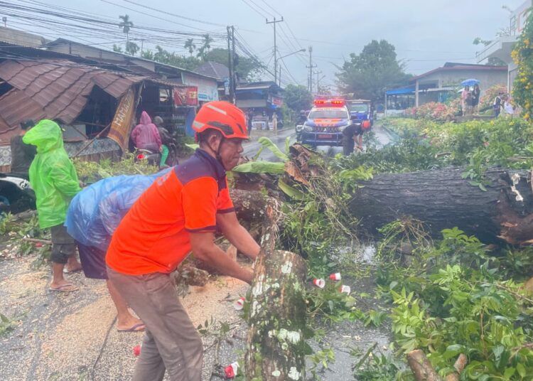 Sebuah pohon menimpa warung di Jalan Pertanian, RT 01, RW 01, Kelurahan Lubuk Minturun, Kecamatan Koto Tangah, Kota Padang, Sumatera Barat (Sumbar), pada Minggu (14/6/2026) pukul 14.26 WIB. Pohon itu juga tumbang ke jalan dan menghambat akses jalan. Foto: BPBD Padang