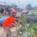 Akibat Angin Kencang, Pohon Timpa Warung dan Hambat Akses Jalan di Padang