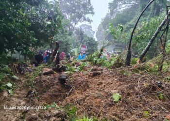 Longsor Dua Titik di Bukit Lampu, Akses Padang—Bengkulu Lumpuh Total