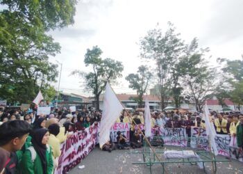 Akademisi Sebut Demo Mahasiswa Saja Tak Cukup, Butuh Gerakan Bersama untuk Tekan Penguasa Korup