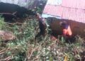 Pohon Besar Timpa Rumah Warga di Padang Saat Angin Kencang