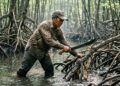 Rambah Hutan Mangrove, Warga Rokan Hulu Jadi Tersangka, Terancam 10 Tahun Penjara