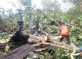 Rumah Warga di Padang Rusak Berat Setelah Ditimpa Pohon Besar