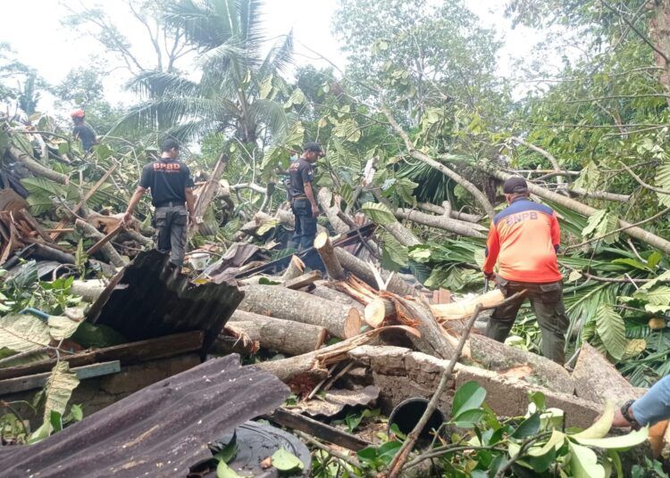 Sebatang pohon besar menimpa rumah warga di RT 02 RW 01, Kelurahan Bukit Gado-Gado, Kecamatan Padang Selatan, Padang, Sumatera Barat (Sumbar), pada Rabu (17/6/2026) magrib. Foto: BPBD Padang