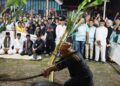 Maambiak Batang Pisang, Prosesi Kedua Rangkaian Hoyak Tabuik Pariaman 2026 yang Digelar Sore Ini