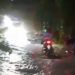 Jalan Padang–Pesisir Selatan Dipenuhi Material Longsor, Akses Lalu Lintas Terganggu