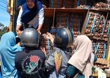 Video: Truk Muatan Telur Kecelakaan di Padang, Emak-Emak Serbu Lokasi