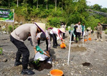 Pemko dan Polres Padang Panjang Tanam 500 Bibit Pohon di Silaing Bawah