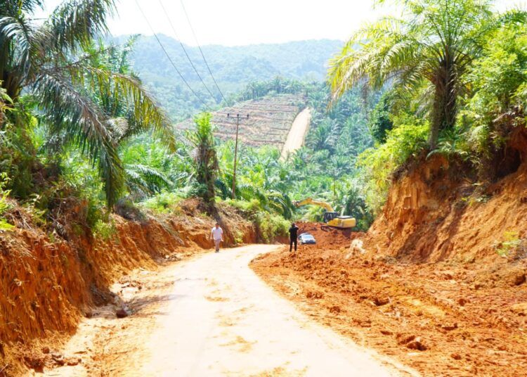 Alat berat mulai bekerja melakukan pembukaan dan perbaikan Jalan Bukit Hujan di Kecamatan Asam Jujuhan, Kabupaten Dharmasraya, yang selama puluhan tahun menjadi akses utama masyarakat Lubuk Besar dan Alahan Nan Tigo.