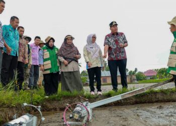 Pemko Pariaman Terapkan Teknologi PM-AAS, Targetkan Produktivitas Padi hingga 10 Ton per Hektare