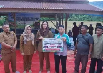 Pemkab Dharmasraya Salurkan Bantuan Alsintan dan 96 Ton Benih Padi untuk Kelompok Tani