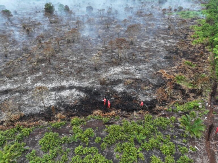 Tim Berisi 117 Orang dan 3 Helikopter Padamkan 80 Hektare Kebakaran Lahan di Riau