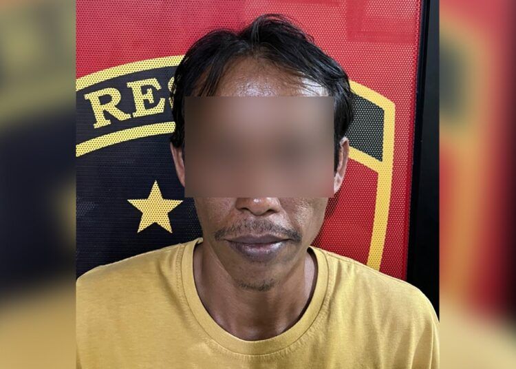 Polisi menangkap seorang pria di kontrakannya di Jorong Saruaso Timur, Nagari Saruaso, Kecamatan Tanjung Emas, Tanah Datar, Sumatera Barat (Sumbar), pada Rabu (1/7/2026) sekitar pukul 04.00 WIB karena diduga mencuri kambing. Foto: Polres Tanah Datar