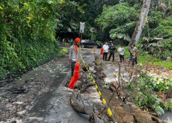 Longsor Susulan, Kelok 10 Agam Makin Rawan, Butuh Pembatasan Tonase dan Penahan Tanah
