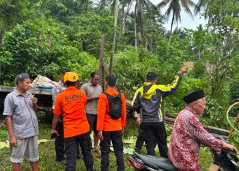 Truk Tak Kuat Nanjak di Padang Pariaman, Kernet Tewas Terlindas Saat Ganjal Ban