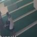 Video: Detik-detik Bocah Gasak Kotak Amal Masjid di Padang, Bawa Kabur Uang Sekantong